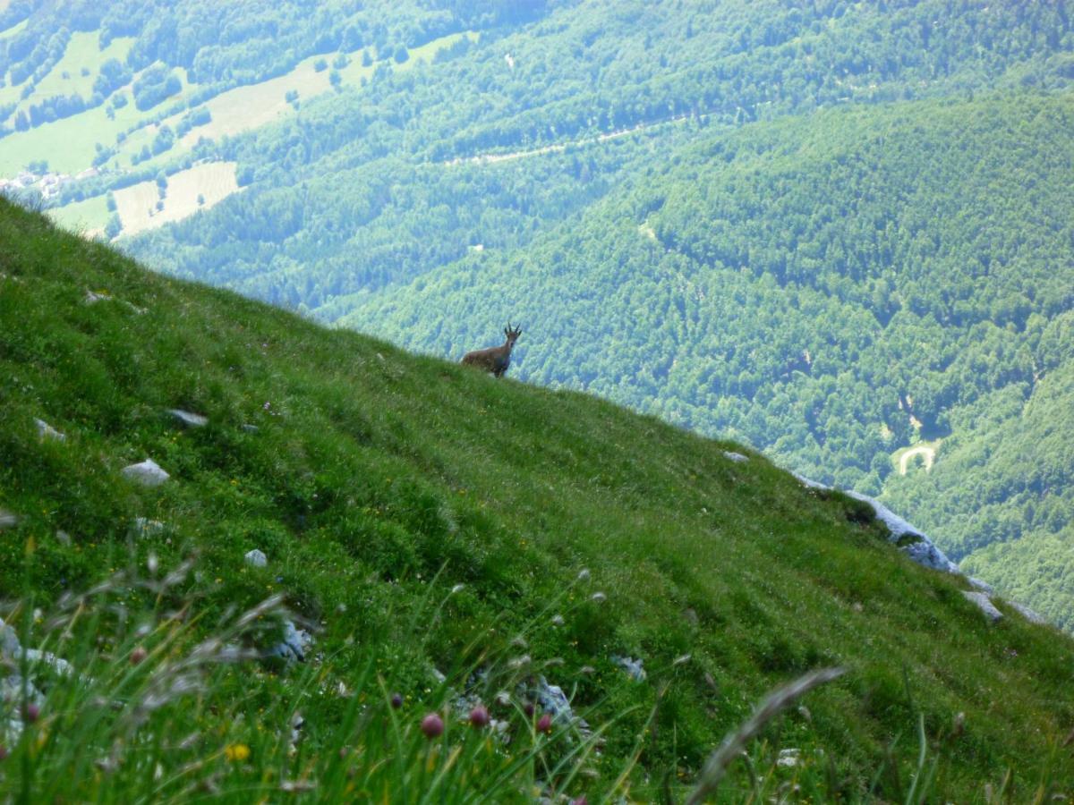 Appartement La Moraine à Villard-de-Lans Extérieur photo